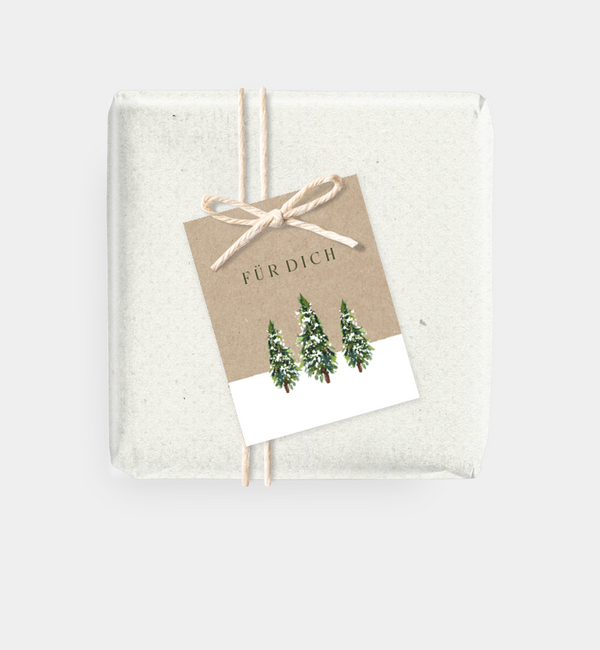 Schlitten · Vintage