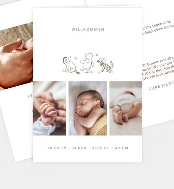 Winnie Puuh · Very Happy Friends