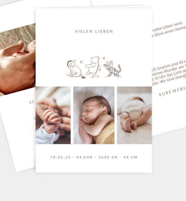 Winnie Puuh · Very Happy Friends