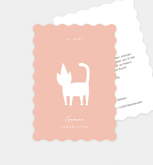 Cute Cat