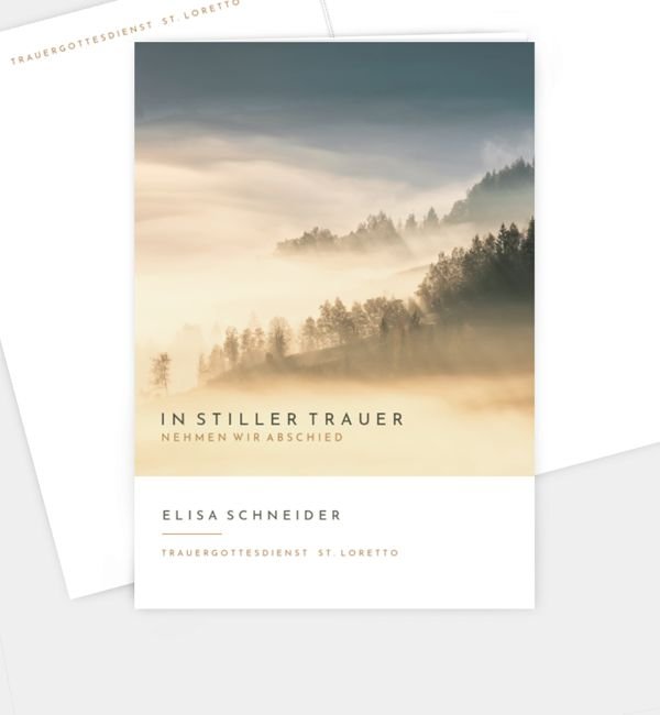 Abendhimmel · Waldnebel