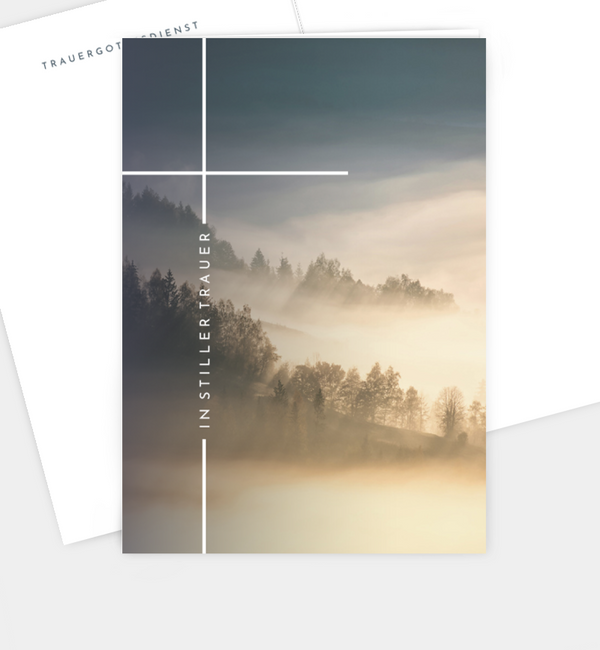 Sanfter Ausblick · Waldnebel