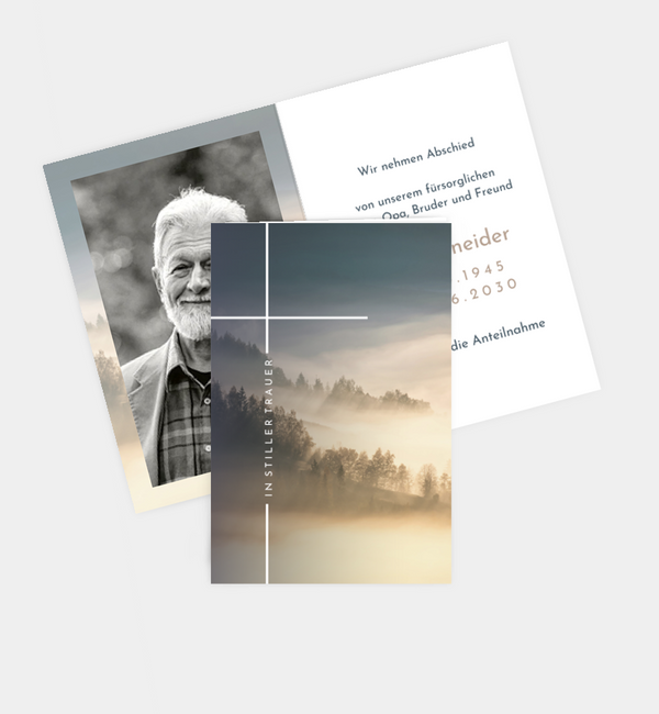 Sanfter Ausblick · Waldnebel