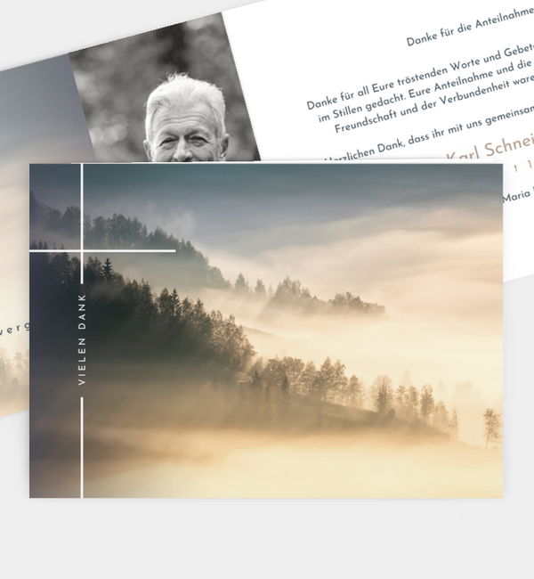 Sanfter Ausblick · Waldnebel