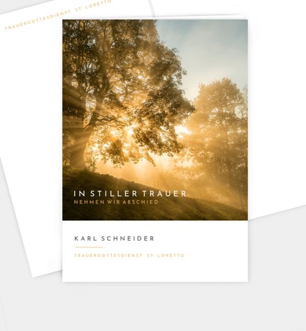 Abendhimmel · Waldnebel