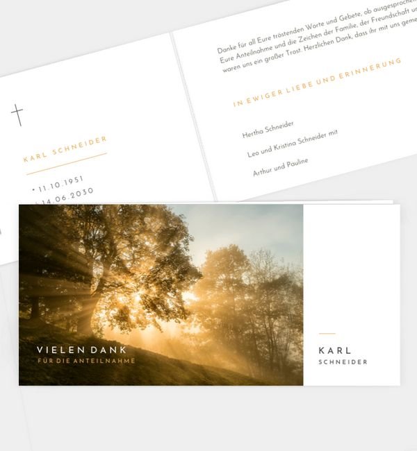 Abendhimmel · Waldnebel