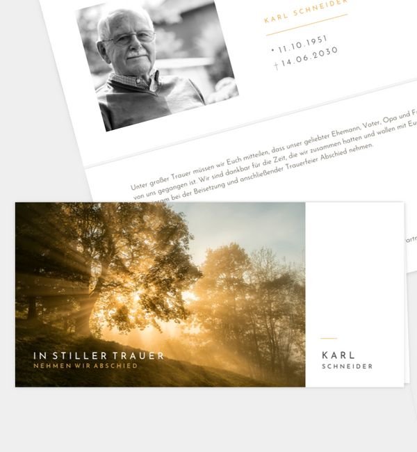 Abendhimmel · Waldnebel