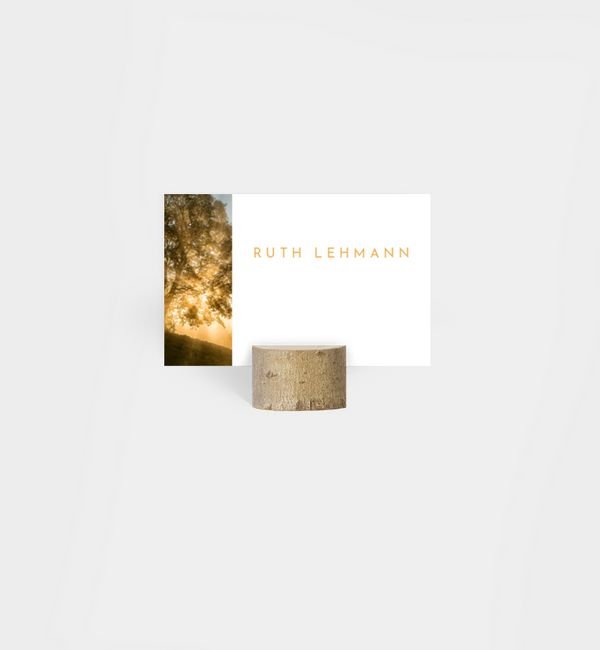 Abendhimmel · Waldnebel