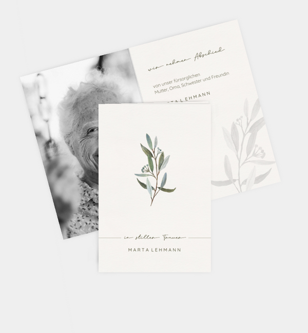 Olive branch
