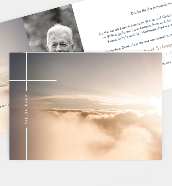 Sanfter Ausblick · Waldnebel