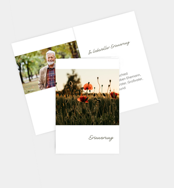 Blumenwiese