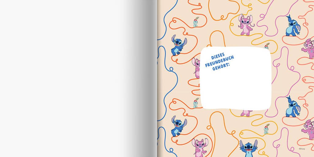 freundebuch_stitch inlay 1