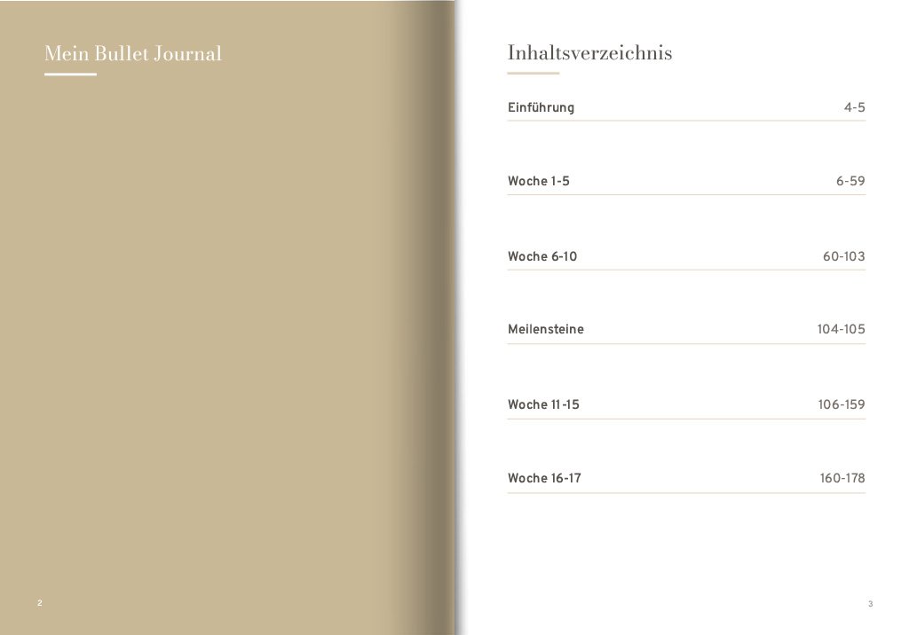 bullet_journal inlay 1