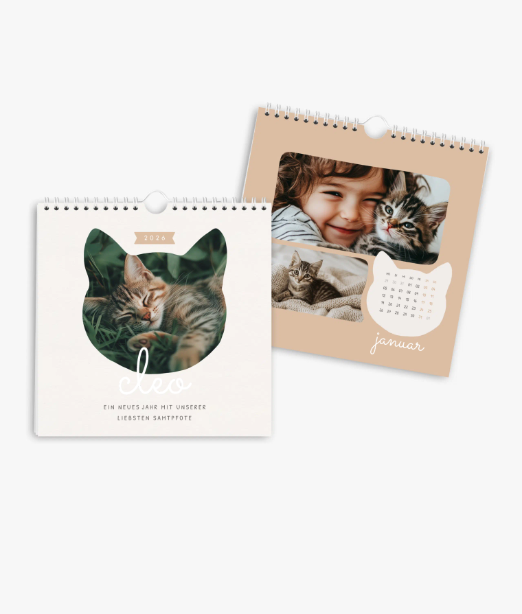 Wandkalender Samtpfote