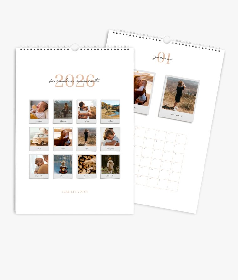 Terminkalender Polaroid
